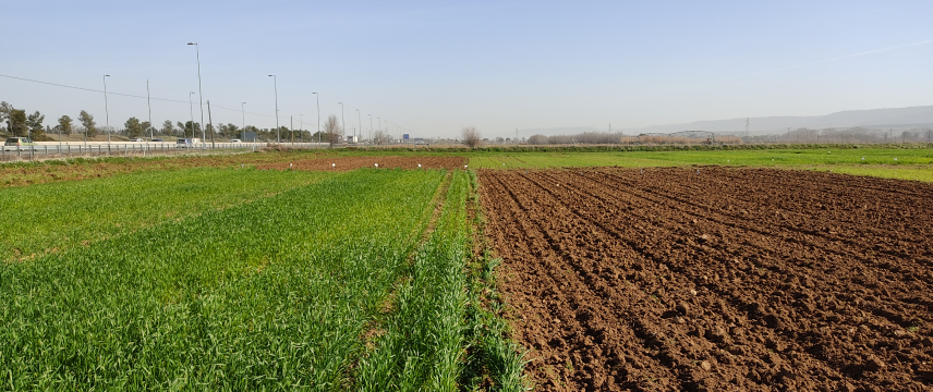 Agricultural land in Spain
