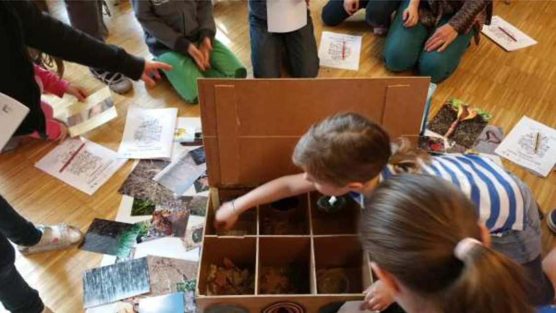 The “feel”station: the compartements are not visible. Kids feel the components of soil. At the end, we take look in the box and see what we have felt beforehand