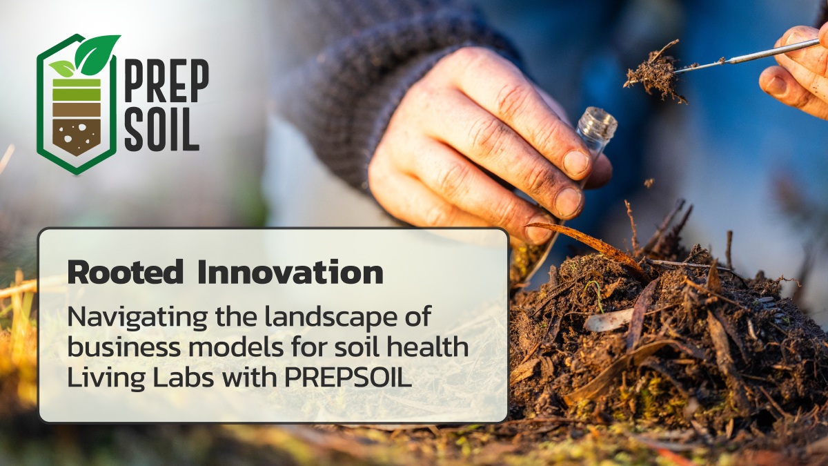 Rooted Innovation: navigating the landscape of business models for soil health Living Labs with PREPSOIL