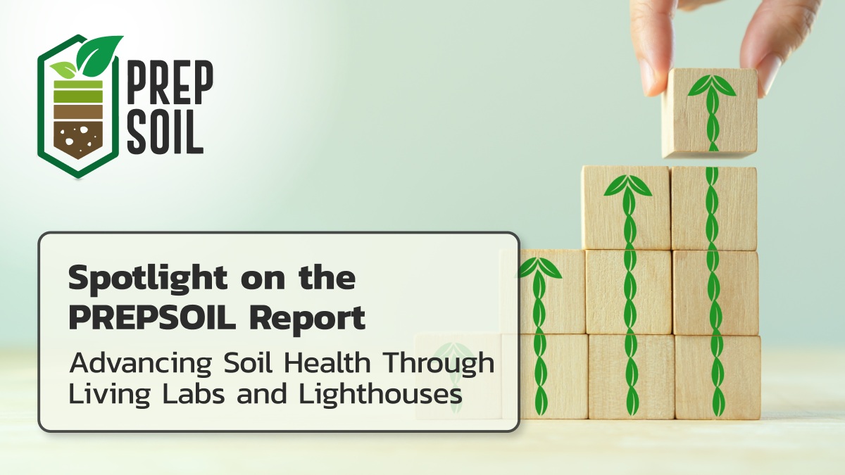 Spotlight on the PREPSOIL Report: Advancing Soil Health Through Living Labs and Lighthouses