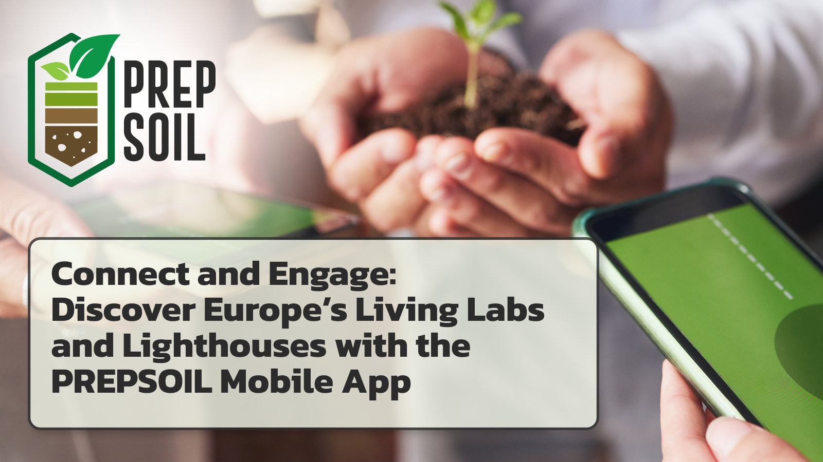 Rooted Innovation Navigating the landscape of business models for soil health Living Labs with PREPSOIL