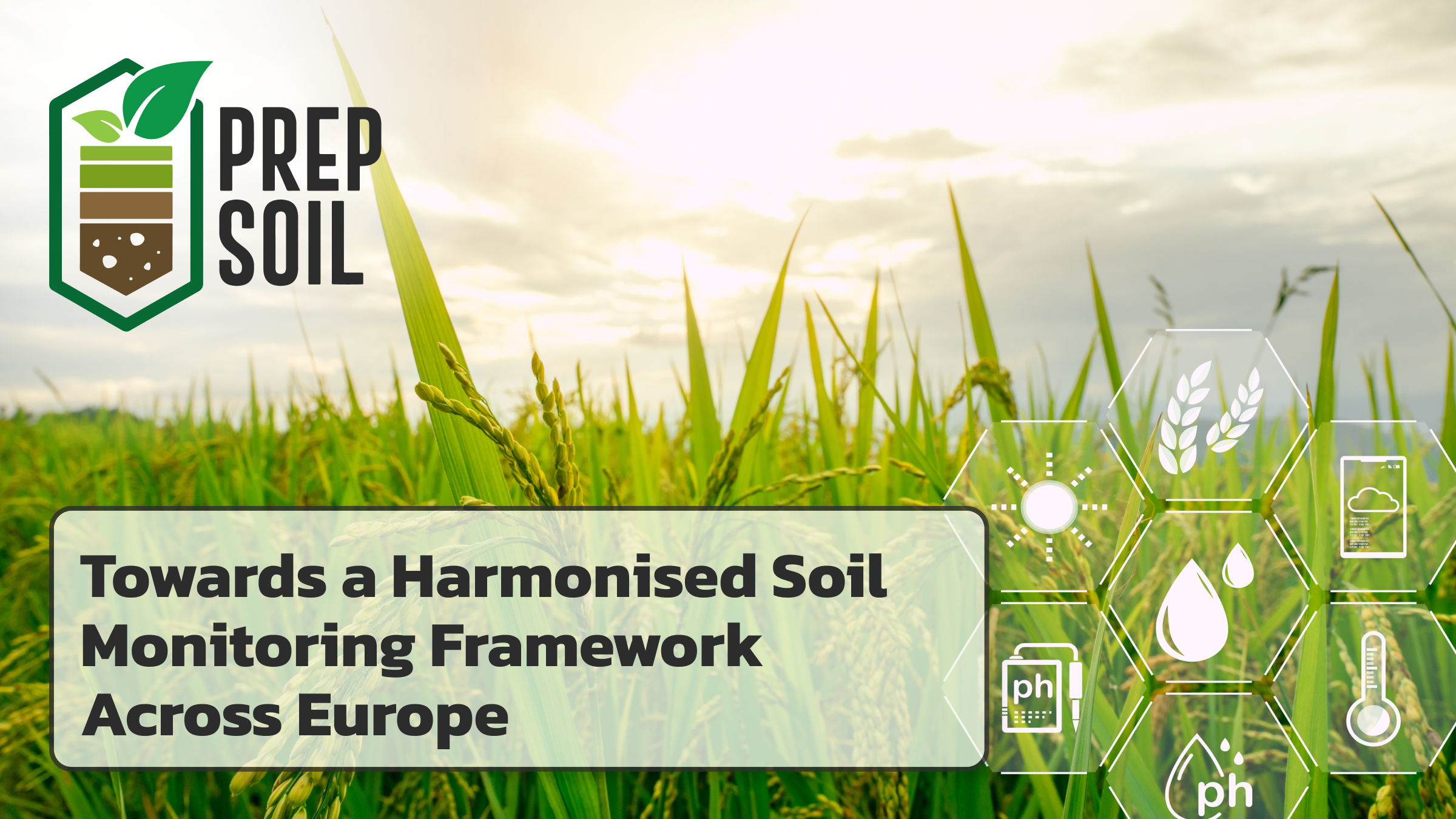 Towards a Harmonized Soil Monitoring Framework Across Europe