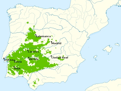 Agroforestry – Badajoz (Spain) ENDESA region