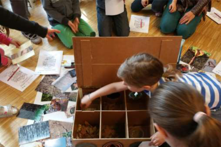 The “feel”station: the compartements are not visible. Kids feel the components of soil. At the end, we take look in the box and see what we have felt beforehand