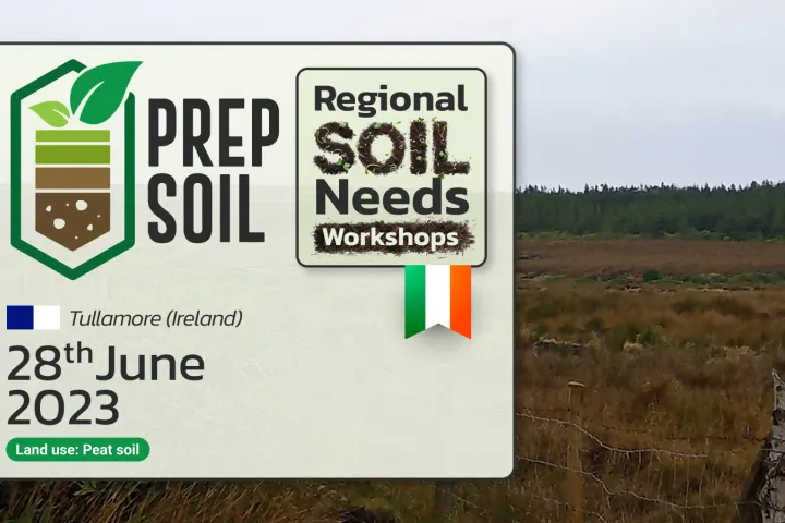 Peat soil – Tullamore (Ireland)