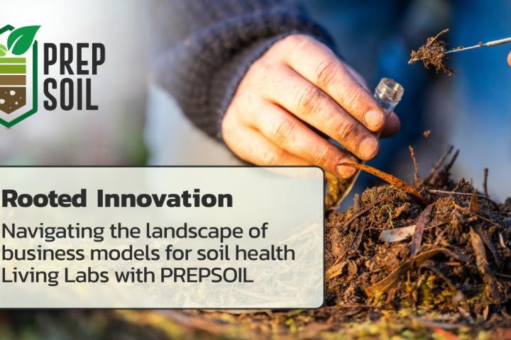 Rooted Innovation: navigating the landscape of business models for soil health Living Labs with PREPSOIL