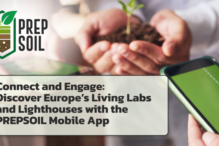 Rooted Innovation Navigating the landscape of business models for soil health Living Labs with PREPSOIL