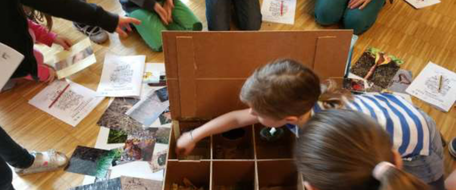 The “feel”station: the compartements are not visible. Kids feel the components of soil. At the end, we take look in the box and see what we have felt beforehand