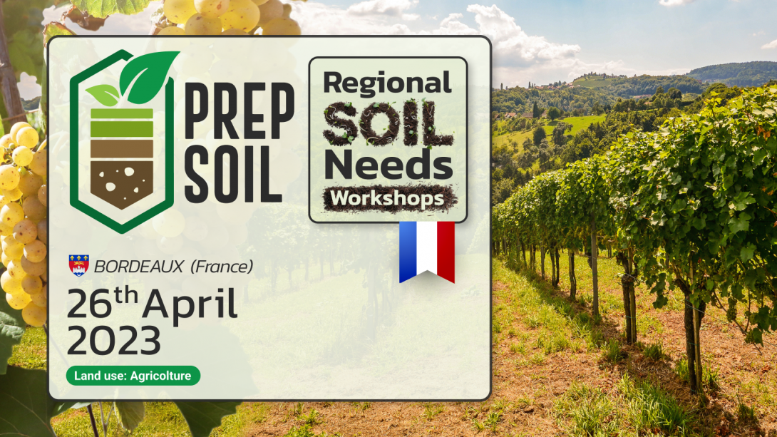 Vineyard Soils – Bordeaux (France)