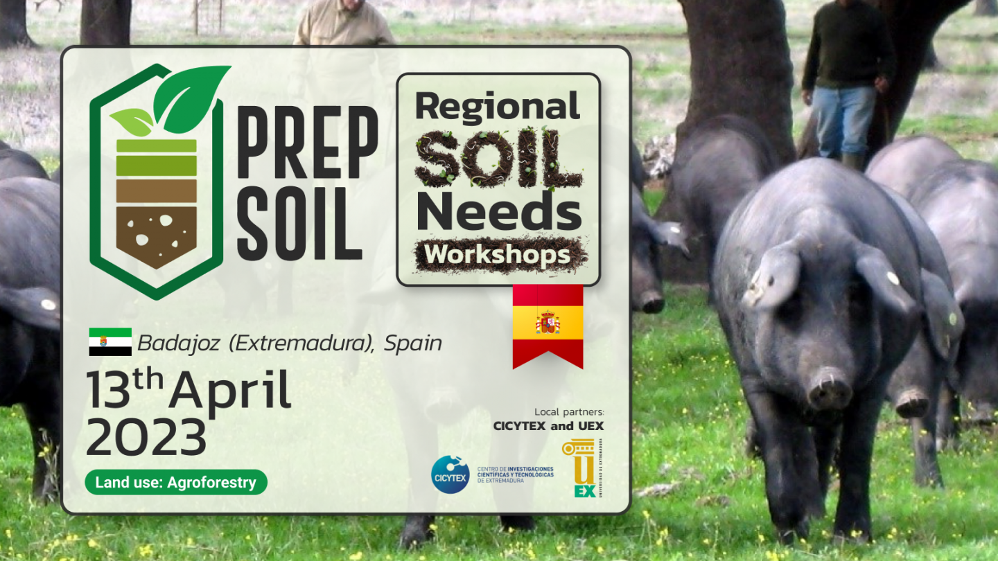 Agroforestry – Badajoz (Spain)